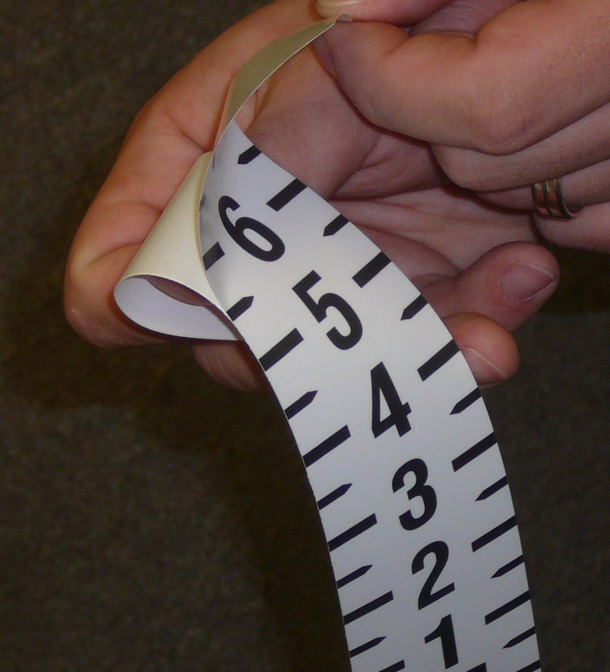 Security Height Rule – Adhesive - Fractional – 3 Foot 8 Inch to 6 Foot 8 Inch