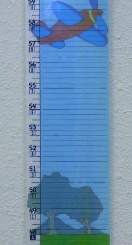 Kids Height Rule – Fractional – 80 Inch