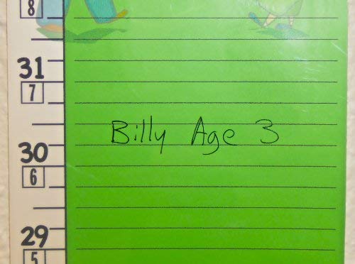 Kids Height Rule – Fractional – 80 Inch