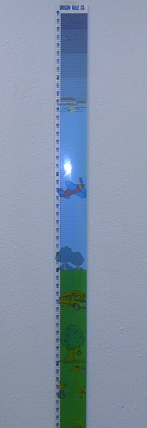 Kids Height Rule – Fractional – 80 Inch