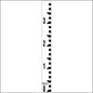 Staff Gauge - Tenth of Foot Surveyor Style - 5 Inch Wide - TFSS image