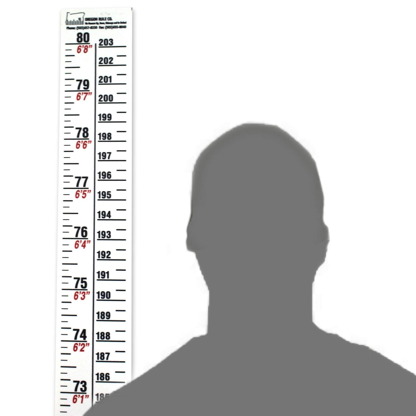Security Height Rule – Adhesive - Fractional/Metric – 80 Inch/203 Centimeter Long