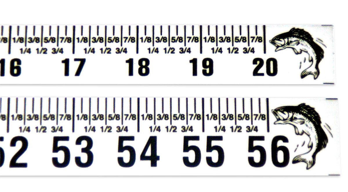 Fish Ruler Adhesive Big Fish Adhesive Backed Ruler Set - 2 Rulers - 20