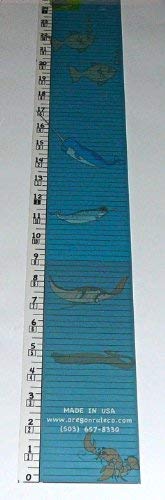 Kids Height Rule – Fractional – 80 Inch