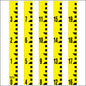 Staff Gauge - Tenth of Foot Surveyor Style - 5 Inch Wide - TFSS image