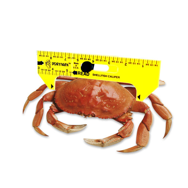 Doryman Shellfish Caliper – Floating Ruler – Reads 3–6.5 Inch