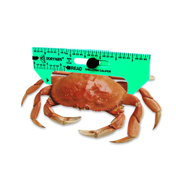 Doryman Shellfish Caliper – Floating Ruler – Reads 3–6.5 Inch image 1