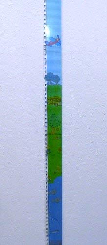 Kids Height Rule – Fractional – 80 Inch